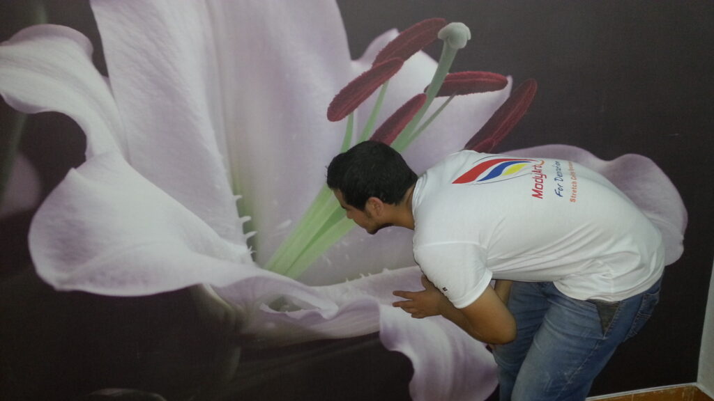 سقف موزاريلا, stretch ceiling , اسقف الياف ضوئية , فيبر اوبتيك ,اسقف استرتش ,  مودي ارت ,سترتش سيلينج, اسقف مضيئة, اسقف نافذه للضوء, اسقف مرآه, سقف لامع, سقف سترتش, سقف مضىء, سقف نجوم, سقف كواكب, سقف سحاب, سقف مطبوع, سقف شفاف , اسقف الياف ضوئية, اسقف فيبر, اسقف مودرن, ديكورات, ديكورات اسقف, سقف غرفة اطفال, سقف غرفة السينما, اسقف فيبر اوبتيك, ورق حائط, ورق حائط مودرن, ورق حائط اطفال, جيبسوم بورد, جيبسون بورد, سقف بارسول, جبس بورد, بديل رخام, بديل خشب, ليد, بروفايل ليد, مهندسة ديكور, مهندس ديكور, نجف مودرن, دلايات, اضائة, ورق حائط مضىء, سقف روز , روز رايز, mozzarella ceiling, stretch ceiling, fiber optic ceilings, fiber optic, mody art, stretch ceilings, illuminated ceilings, light-filtering ceilings, mirror ceilings, glossy ceiling, stretch ceiling, luminous ceiling, star ceiling, planet ceiling, cloud ceiling, printed ceiling, transparent ceiling, fiber optic ceilings, fiber ceilings, modern ceilings, decorations, ceiling decorations, children's room ceiling, cinema room ceiling, fiber optic ceilings, wallpaper, modern wallpaper, children's wallpaper, gypsum board, gypsum board, parasol ceiling, gypsum board, marble alternative, wood alternative, led, led profile, interior designer, interior designer, modern chandeliers, pendants, lighting, illuminated wallpaper, rose ceiling, rose royce, translucent stretch ceiling