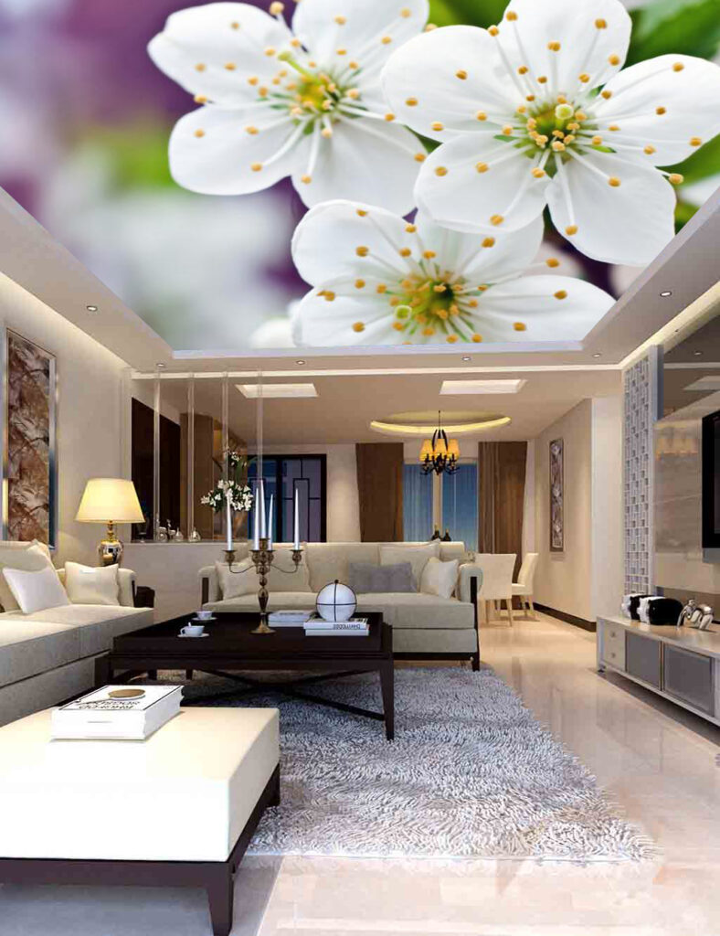 
سقف موزاريلا, stretch ceiling , اسقف الياف ضوئية , فيبر اوبتيك ,اسقف استرتش ,  مودي ارت ,سترتش سيلينج, اسقف مضيئة, اسقف نافذه للضوء, اسقف مرآه, سقف لامع, سقف سترتش, سقف مضىء, سقف نجوم, سقف كواكب, سقف سحاب, سقف مطبوع, سقف شفاف , اسقف الياف ضوئية, اسقف فيبر, اسقف مودرن, ديكورات, ديكورات اسقف, سقف غرفة اطفال, سقف غرفة السينما, اسقف فيبر اوبتيك, ورق حائط, ورق حائط مودرن, ورق حائط اطفال, جيبسوم بورد, جيبسون بورد, سقف بارسول, جبس بورد, بديل رخام, بديل خشب, ليد, بروفايل ليد, مهندسة ديكور, مهندس ديكور, نجف مودرن, دلايات, اضائة, ورق حائط مضىء, سقف روز , روز رايز, mozzarella ceiling, stretch ceiling, fiber optic ceilings, fiber optic, mody art, stretch ceilings, illuminated ceilings, light-filtering ceilings, mirror ceilings, glossy ceiling, stretch ceiling, luminous ceiling, star ceiling, planet ceiling, cloud ceiling, printed ceiling, transparent ceiling, fiber optic ceilings, fiber ceilings, modern ceilings, decorations, ceiling decorations, children's room ceiling, cinema room ceiling, fiber optic ceilings, wallpaper, modern wallpaper, children's wallpaper, gypsum board, gypsum board, parasol ceiling, gypsum board, marble alternative, wood alternative, led, led profile, interior designer, interior designer, modern chandeliers, pendants, lighting, illuminated wallpaper, rose ceiling, rose royce, translucent stretch ceiling
