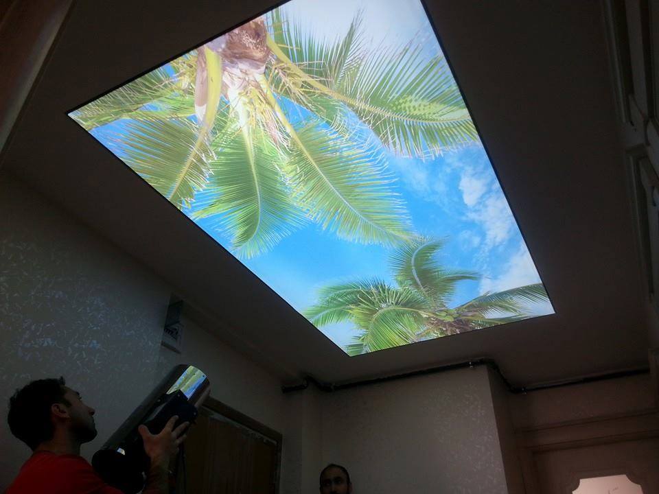 سقف موزاريلا, stretch ceiling , اسقف الياف ضوئية , فيبر اوبتيك ,اسقف استرتش ,  استرتش سيلينج,  مودي ارت ,سترتش سيلينج, اسقف مضيئة, اسقف نافذه للضوء, اسقف مضيئة, اسقف مراية, اسقف مرآه, اسقف لامعه, سقف لامع, سقف سترتش, سقف مرايا, سقف مضىء, سقف نجوم, سقف كواكب, سقف سحاب, سقف مطبوع, سقف شفاف , اسقف الياف ضوئية, سقف الياف ضوئية, اسقف فيبر, اسقف مودرن, ديكور, ديكورات, ديكور اسقف, ديكورات اسقف, سقف غرفة اطفال, سقف غرفة السينما, اسقف فيبر اوبتيك, ورق حائط, ورق حائط مودرن, ورق حائط اطفال, جيبسوم بورد, جيبسون بورد, سقف بارسول, جبس بورد, بديل رخام, بديل خشب, ليد, بروفايل ليد, مهندسة ديكور, مهندس ديكور, نجف مودرن, دلايات, اضائة, ورق حائط مضىء, Mozzarella ceiling, stretch ceiling, fiber optic ceilings, fiber optic, stretch ceilings, stretch ceiling, stretch ceiling, stretch ceiling, illuminated ceilings, light-transmitting ceilings, illuminated ceilings, mirror ceilings, mirror ceilings, glossy ceilings, glossy ceiling, stretch ceiling, mirror ceiling, illuminated ceiling, star ceiling, planet ceiling, cloud ceiling, printed ceiling, transparent ceiling, fiber optic ceilings, fiber optic ceiling, fiber ceilings, modern ceilings, decor, decorations, ceiling decor, ceiling decorations, children's room ceiling, cinema room ceiling, fiber optic ceilings, wallpaper, modern wallpaper, children's wallpaper, gypsum board, gypsum board, parasol ceiling, gypsum board, marble alternative, wood alternative, LED, LED profile, interior designer, interior designer, modern chandeliers, pendants, lighting, illuminated wallpaper,moody art,mody art, translucent stretch ceiling
optical fiber cable
specialized fiber optics
fiberoptic light
fiber light source
fiber optic products
