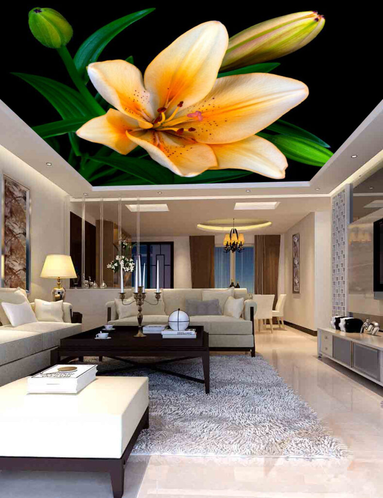 
سقف موزاريلا, stretch ceiling , اسقف الياف ضوئية , فيبر اوبتيك ,اسقف استرتش ,  مودي ارت ,سترتش سيلينج, اسقف مضيئة, اسقف نافذه للضوء, اسقف مرآه, سقف لامع, سقف سترتش, سقف مضىء, سقف نجوم, سقف كواكب, سقف سحاب, سقف مطبوع, سقف شفاف , اسقف الياف ضوئية, اسقف فيبر, اسقف مودرن, ديكورات, ديكورات اسقف, سقف غرفة اطفال, سقف غرفة السينما, اسقف فيبر اوبتيك, ورق حائط, ورق حائط مودرن, ورق حائط اطفال, جيبسوم بورد, جيبسون بورد, سقف بارسول, جبس بورد, بديل رخام, بديل خشب, ليد, بروفايل ليد, مهندسة ديكور, مهندس ديكور, نجف مودرن, دلايات, اضائة, ورق حائط مضىء, سقف روز , روز رايز, mozzarella ceiling, stretch ceiling, fiber optic ceilings, fiber optic, mody art, stretch ceilings, illuminated ceilings, light-filtering ceilings, mirror ceilings, glossy ceiling, stretch ceiling, luminous ceiling, star ceiling, planet ceiling, cloud ceiling, printed ceiling, transparent ceiling, fiber optic ceilings, fiber ceilings, modern ceilings, decorations, ceiling decorations, children's room ceiling, cinema room ceiling, fiber optic ceilings, wallpaper, modern wallpaper, children's wallpaper, gypsum board, gypsum board, parasol ceiling, gypsum board, marble alternative, wood alternative, led, led profile, interior designer, interior designer, modern chandeliers, pendants, lighting, illuminated wallpaper, rose ceiling, rose royce, translucent stretch ceiling
