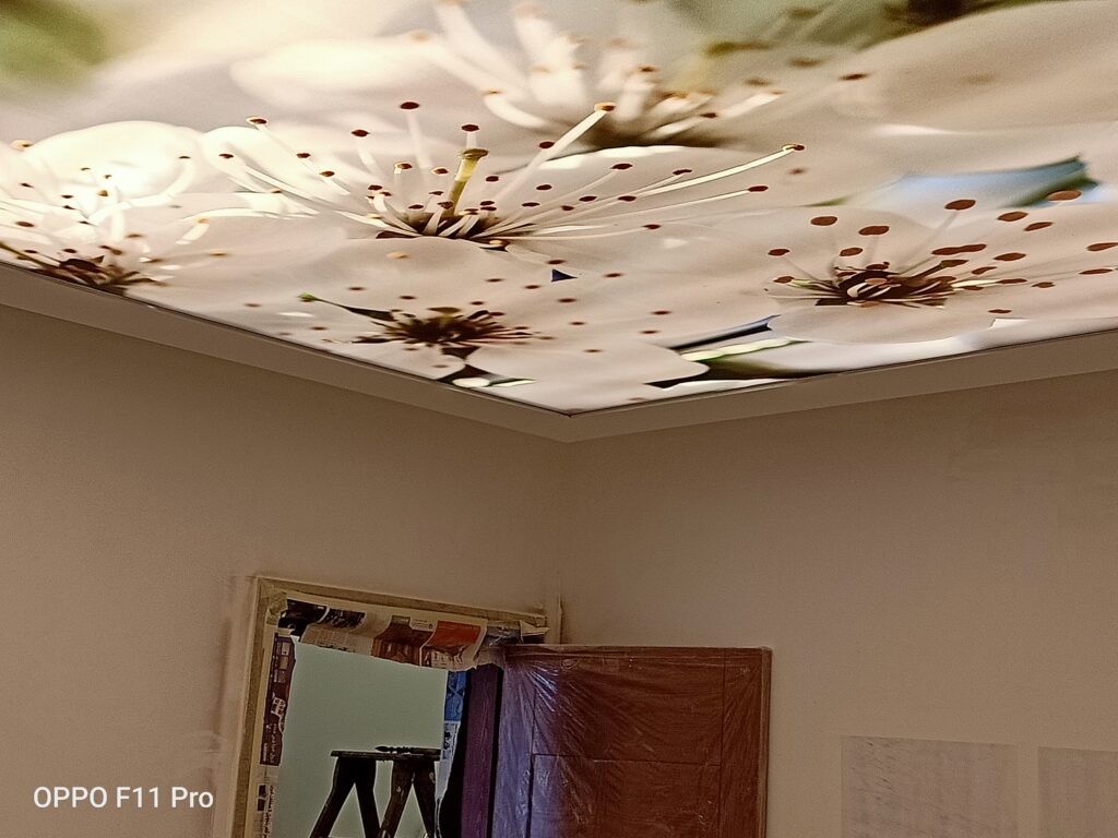 سقف موزاريلا, stretch ceiling , اسقف الياف ضوئية , فيبر اوبتيك ,اسقف استرتش ,  استرتش سيلينج,  مودي ارت ,سترتش سيلينج, اسقف مضيئة, اسقف نافذه للضوء, اسقف مضيئة, اسقف مراية, اسقف مرآه, اسقف لامعه, سقف لامع, سقف سترتش, سقف مرايا, سقف مضىء, سقف نجوم, سقف كواكب, سقف سحاب, سقف مطبوع, سقف شفاف , اسقف الياف ضوئية, سقف الياف ضوئية, اسقف فيبر, اسقف مودرن, ديكور, ديكورات, ديكور اسقف, ديكورات اسقف, سقف غرفة اطفال, سقف غرفة السينما, اسقف فيبر اوبتيك, ورق حائط, ورق حائط مودرن, ورق حائط اطفال, جيبسوم بورد, جيبسون بورد, سقف بارسول, جبس بورد, بديل رخام, بديل خشب, ليد, بروفايل ليد, مهندسة ديكور, مهندس ديكور, نجف مودرن, دلايات, اضائة, ورق حائط مضىء, Mozzarella ceiling, stretch ceiling, fiber optic ceilings, fiber optic, stretch ceilings, stretch ceiling, stretch ceiling, stretch ceiling, illuminated ceilings, light-transmitting ceilings, illuminated ceilings, mirror ceilings, mirror ceilings, glossy ceilings, glossy ceiling, stretch ceiling, mirror ceiling, illuminated ceiling, star ceiling, planet ceiling, cloud ceiling, printed ceiling, transparent ceiling, fiber optic ceilings, fiber optic ceiling, fiber ceilings, modern ceilings, decor, decorations, ceiling decor, ceiling decorations, children's room ceiling, cinema room ceiling, fiber optic ceilings, wallpaper, modern wallpaper, children's wallpaper, gypsum board, gypsum board, parasol ceiling, gypsum board, marble alternative, wood alternative, LED, LED profile, interior designer, interior designer, modern chandeliers, pendants, lighting, illuminated wallpaper,moody art,mody art, translucent stretch ceiling
optical fiber cable
specialized fiber optics
fiberoptic light
fiber light source
fiber optic products