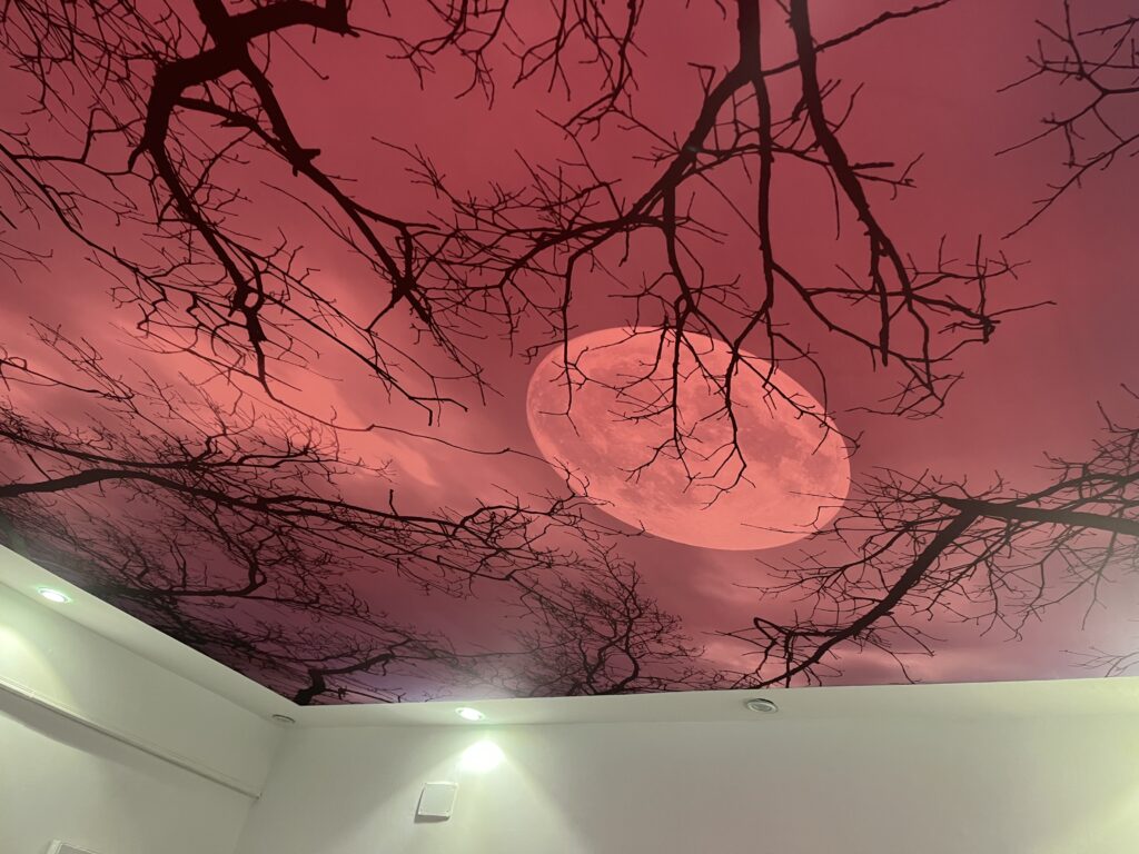 سقف موزاريلا, stretch ceiling , اسقف الياف ضوئية , فيبر اوبتيك ,اسقف استرتش ,  استرتش سيلينج,  مودي ارت ,سترتش سيلينج, اسقف مضيئة, اسقف نافذه للضوء, اسقف مضيئة, اسقف مراية, اسقف مرآه, اسقف لامعه, سقف لامع, سقف سترتش, سقف مرايا, سقف مضىء, سقف نجوم, سقف كواكب, سقف سحاب, سقف مطبوع, سقف شفاف , اسقف الياف ضوئية, سقف الياف ضوئية, اسقف فيبر, اسقف مودرن, ديكور, ديكورات, ديكور اسقف, ديكورات اسقف, سقف غرفة اطفال, سقف غرفة السينما, اسقف فيبر اوبتيك, ورق حائط, ورق حائط مودرن, ورق حائط اطفال, جيبسوم بورد, جيبسون بورد, سقف بارسول, جبس بورد, بديل رخام, بديل خشب, ليد, بروفايل ليد, مهندسة ديكور, مهندس ديكور, نجف مودرن, دلايات, اضائة, ورق حائط مضىء, Mozzarella ceiling, stretch ceiling, fiber optic ceilings, fiber optic, stretch ceilings, stretch ceiling, stretch ceiling, stretch ceiling, illuminated ceilings, light-transmitting ceilings, illuminated ceilings, mirror ceilings, mirror ceilings, glossy ceilings, glossy ceiling, stretch ceiling, mirror ceiling, illuminated ceiling, star ceiling, planet ceiling, cloud ceiling, printed ceiling, transparent ceiling, fiber optic ceilings, fiber optic ceiling, fiber ceilings, modern ceilings, decor, decorations, ceiling decor, ceiling decorations, children's room ceiling, cinema room ceiling, fiber optic ceilings, wallpaper, modern wallpaper, children's wallpaper, gypsum board, gypsum board, parasol ceiling, gypsum board, marble alternative, wood alternative, LED, LED profile, interior designer, interior designer, modern chandeliers, pendants, lighting, illuminated wallpaper,moody art,mody art, translucent stretch ceiling
optical fiber cable
specialized fiber optics
fiberoptic light
fiber light source
fiber optic products
