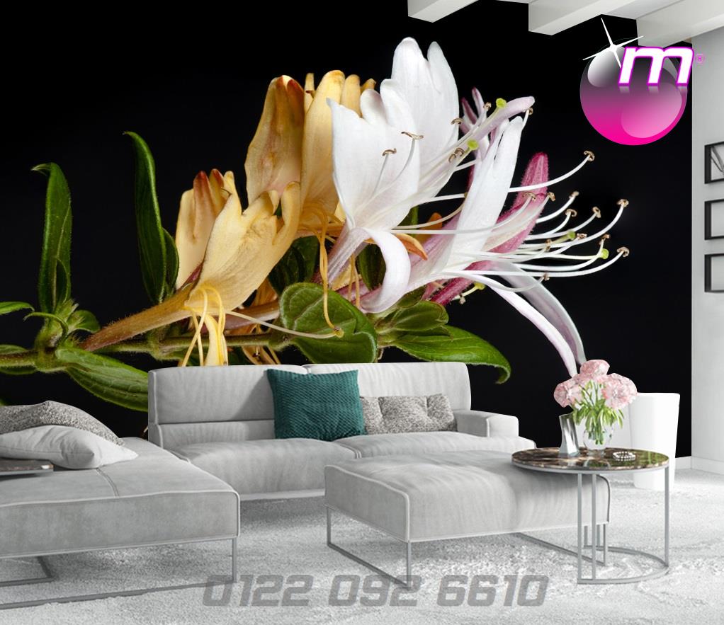 سقف موزاريلا, stretch ceiling , اسقف الياف ضوئية , فيبر اوبتيك ,اسقف استرتش ,  مودي ارت ,سترتش سيلينج, اسقف مضيئة, اسقف نافذه للضوء, اسقف مرآه, سقف لامع, سقف سترتش, سقف مضىء, سقف نجوم, سقف كواكب, سقف سحاب, سقف مطبوع, سقف شفاف , اسقف الياف ضوئية, اسقف فيبر, اسقف مودرن, ديكورات, ديكورات اسقف, سقف غرفة اطفال, سقف غرفة السينما, اسقف فيبر اوبتيك, ورق حائط, ورق حائط مودرن, ورق حائط اطفال, جيبسوم بورد, جيبسون بورد, سقف بارسول, جبس بورد, بديل رخام, بديل خشب, ليد, بروفايل ليد, مهندسة ديكور, مهندس ديكور, نجف مودرن, دلايات, اضائة, ورق حائط مضىء, سقف روز , روز رايز, mozzarella ceiling, stretch ceiling, fiber optic ceilings, fiber optic, mody art, stretch ceilings, illuminated ceilings, light-filtering ceilings, mirror ceilings, glossy ceiling, stretch ceiling, luminous ceiling, star ceiling, planet ceiling, cloud ceiling, printed ceiling, transparent ceiling, fiber optic ceilings, fiber ceilings, modern ceilings, decorations, ceiling decorations, children's room ceiling, cinema room ceiling, fiber optic ceilings, wallpaper, modern wallpaper, children's wallpaper, gypsum board, gypsum board, parasol ceiling, gypsum board, marble alternative, wood alternative, led, led profile, interior designer, interior designer, modern chandeliers, pendants, lighting, illuminated wallpaper, rose ceiling, rose royce, translucent stretch ceiling