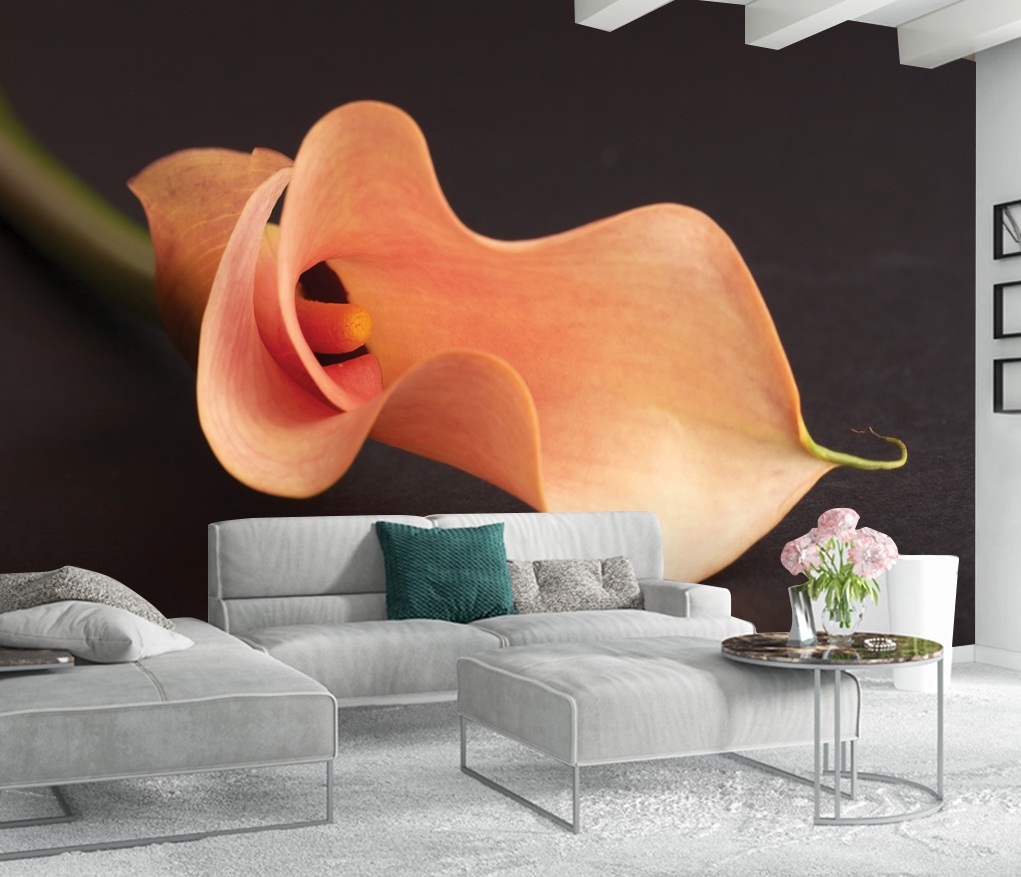 سقف موزاريلا, stretch ceiling , اسقف الياف ضوئية , فيبر اوبتيك ,اسقف استرتش ,  استرتش سيلينج,  مودي ارت ,سترتش سيلينج, اسقف مضيئة, اسقف نافذه للضوء, اسقف مضيئة, اسقف مراية, اسقف مرآه, اسقف لامعه, سقف لامع, سقف سترتش, سقف مرايا, سقف مضىء, سقف نجوم, سقف كواكب, سقف سحاب, سقف مطبوع, سقف شفاف , اسقف الياف ضوئية, سقف الياف ضوئية, اسقف فيبر, اسقف مودرن, ديكور, ديكورات, ديكور اسقف, ديكورات اسقف, سقف غرفة اطفال, سقف غرفة السينما, اسقف فيبر اوبتيك, ورق حائط, ورق حائط مودرن, ورق حائط اطفال, جيبسوم بورد, جيبسون بورد, سقف بارسول, جبس بورد, بديل رخام, بديل خشب, ليد, بروفايل ليد, مهندسة ديكور, مهندس ديكور, نجف مودرن, دلايات, اضائة, ورق حائط مضىء, Mozzarella ceiling, stretch ceiling, fiber optic ceilings, fiber optic, stretch ceilings, stretch ceiling, stretch ceiling, stretch ceiling, illuminated ceilings, light-transmitting ceilings, illuminated ceilings, mirror ceilings, mirror ceilings, glossy ceilings, glossy ceiling, stretch ceiling, mirror ceiling, illuminated ceiling, star ceiling, planet ceiling, cloud ceiling, printed ceiling, transparent ceiling, fiber optic ceilings, fiber optic ceiling, fiber ceilings, modern ceilings, decor, decorations, ceiling decor, ceiling decorations, children's room ceiling, cinema room ceiling, fiber optic ceilings, wallpaper, modern wallpaper, children's wallpaper, gypsum board, gypsum board, parasol ceiling, gypsum board, marble alternative, wood alternative, LED, LED profile, interior designer, interior designer, modern chandeliers, pendants, lighting, illuminated wallpaper,moody art,mody art, translucent stretch ceiling
optical fiber cable
specialized fiber optics
fiberoptic light
fiber light source
fiber optic products
