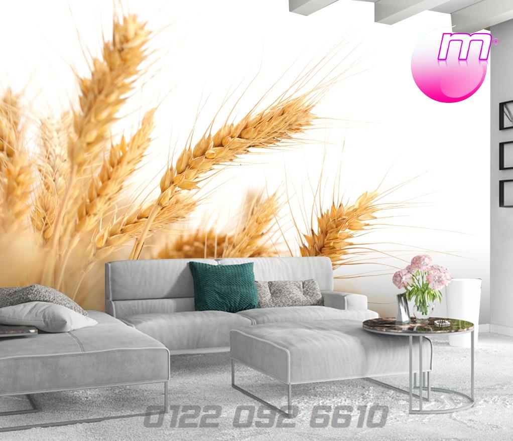 سقف موزاريلا, stretch ceiling , اسقف الياف ضوئية , فيبر اوبتيك ,اسقف استرتش ,  مودي ارت ,سترتش سيلينج, اسقف مضيئة, اسقف نافذه للضوء, اسقف مرآه, سقف لامع, سقف سترتش, سقف مضىء, سقف نجوم, سقف كواكب, سقف سحاب, سقف مطبوع, سقف شفاف , اسقف الياف ضوئية, اسقف فيبر, اسقف مودرن, ديكورات, ديكورات اسقف, سقف غرفة اطفال, سقف غرفة السينما, اسقف فيبر اوبتيك, ورق حائط, ورق حائط مودرن, ورق حائط اطفال, جيبسوم بورد, جيبسون بورد, سقف بارسول, جبس بورد, بديل رخام, بديل خشب, ليد, بروفايل ليد, مهندسة ديكور, مهندس ديكور, نجف مودرن, دلايات, اضائة, ورق حائط مضىء, سقف روز , روز رايز, mozzarella ceiling, stretch ceiling, fiber optic ceilings, fiber optic, mody art, stretch ceilings, illuminated ceilings, light-filtering ceilings, mirror ceilings, glossy ceiling, stretch ceiling, luminous ceiling, star ceiling, planet ceiling, cloud ceiling, printed ceiling, transparent ceiling, fiber optic ceilings, fiber ceilings, modern ceilings, decorations, ceiling decorations, children's room ceiling, cinema room ceiling, fiber optic ceilings, wallpaper, modern wallpaper, children's wallpaper, gypsum board, gypsum board, parasol ceiling, gypsum board, marble alternative, wood alternative, led, led profile, interior designer, interior designer, modern chandeliers, pendants, lighting, illuminated wallpaper, rose ceiling, rose royce, translucent stretch ceiling