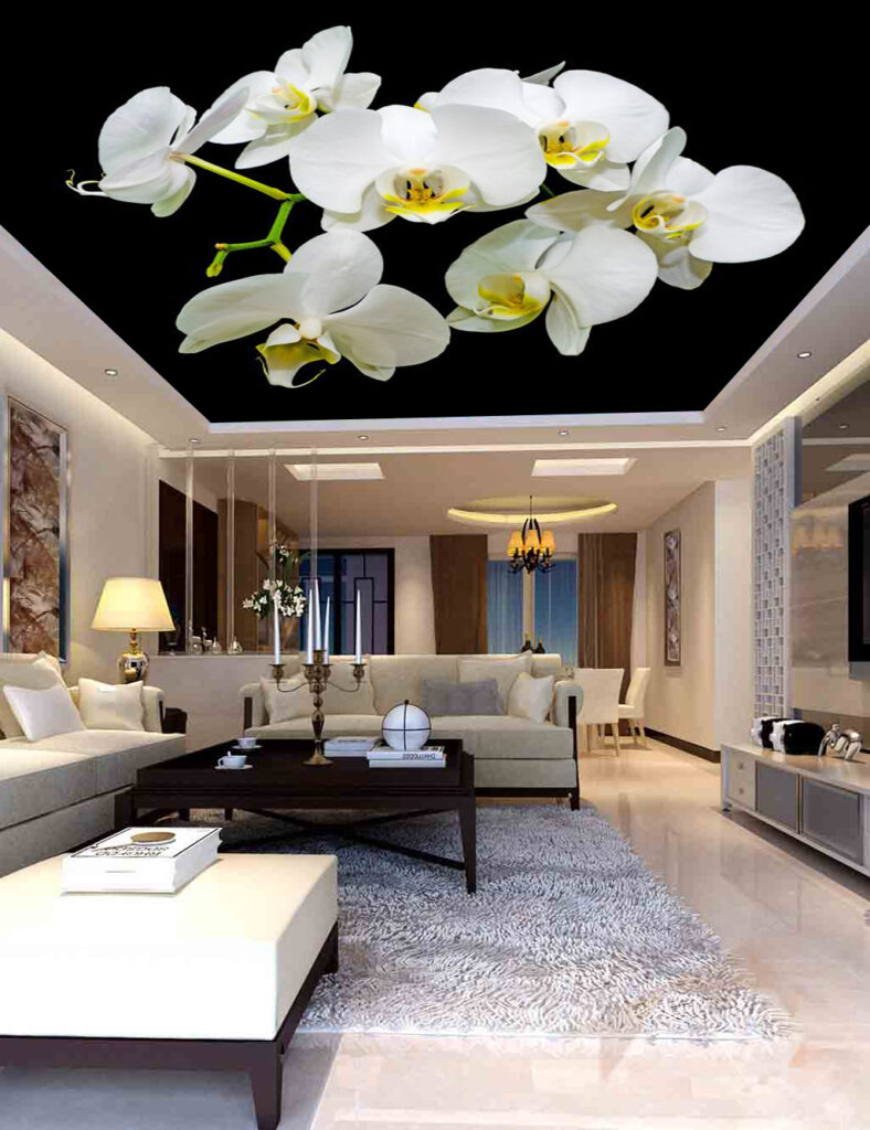 
سقف موزاريلا, stretch ceiling , اسقف الياف ضوئية , فيبر اوبتيك ,اسقف استرتش ,  مودي ارت ,سترتش سيلينج, اسقف مضيئة, اسقف نافذه للضوء, اسقف مرآه, سقف لامع, سقف سترتش, سقف مضىء, سقف نجوم, سقف كواكب, سقف سحاب, سقف مطبوع, سقف شفاف , اسقف الياف ضوئية, اسقف فيبر, اسقف مودرن, ديكورات, ديكورات اسقف, سقف غرفة اطفال, سقف غرفة السينما, اسقف فيبر اوبتيك, ورق حائط, ورق حائط مودرن, ورق حائط اطفال, جيبسوم بورد, جيبسون بورد, سقف بارسول, جبس بورد, بديل رخام, بديل خشب, ليد, بروفايل ليد, مهندسة ديكور, مهندس ديكور, نجف مودرن, دلايات, اضائة, ورق حائط مضىء, سقف روز , روز رايز, mozzarella ceiling, stretch ceiling, fiber optic ceilings, fiber optic, mody art, stretch ceilings, illuminated ceilings, light-filtering ceilings, mirror ceilings, glossy ceiling, stretch ceiling, luminous ceiling, star ceiling, planet ceiling, cloud ceiling, printed ceiling, transparent ceiling, fiber optic ceilings, fiber ceilings, modern ceilings, decorations, ceiling decorations, children's room ceiling, cinema room ceiling, fiber optic ceilings, wallpaper, modern wallpaper, children's wallpaper, gypsum board, gypsum board, parasol ceiling, gypsum board, marble alternative, wood alternative, led, led profile, interior designer, interior designer, modern chandeliers, pendants, lighting, illuminated wallpaper, rose ceiling, rose royce, translucent stretch ceiling
