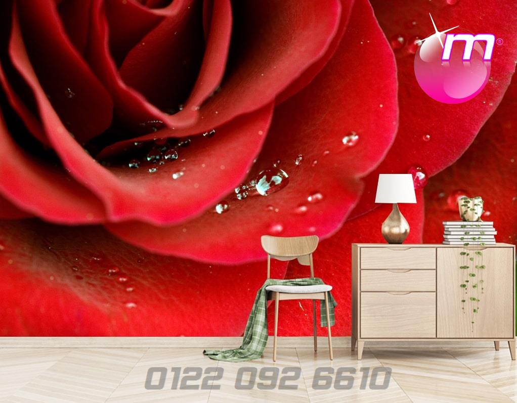 سقف موزاريلا, stretch ceiling , اسقف الياف ضوئية , فيبر اوبتيك ,اسقف استرتش ,  مودي ارت ,سترتش سيلينج, اسقف مضيئة, اسقف نافذه للضوء, اسقف مرآه, سقف لامع, سقف سترتش, سقف مضىء, سقف نجوم, سقف كواكب, سقف سحاب, سقف مطبوع, سقف شفاف , اسقف الياف ضوئية, اسقف فيبر, اسقف مودرن, ديكورات, ديكورات اسقف, سقف غرفة اطفال, سقف غرفة السينما, اسقف فيبر اوبتيك, ورق حائط, ورق حائط مودرن, ورق حائط اطفال, جيبسوم بورد, جيبسون بورد, سقف بارسول, جبس بورد, بديل رخام, بديل خشب, ليد, بروفايل ليد, مهندسة ديكور, مهندس ديكور, نجف مودرن, دلايات, اضائة, ورق حائط مضىء, سقف روز , روز رايز, mozzarella ceiling, stretch ceiling, fiber optic ceilings, fiber optic, mody art, stretch ceilings, illuminated ceilings, light-filtering ceilings, mirror ceilings, glossy ceiling, stretch ceiling, luminous ceiling, star ceiling, planet ceiling, cloud ceiling, printed ceiling, transparent ceiling, fiber optic ceilings, fiber ceilings, modern ceilings, decorations, ceiling decorations, children's room ceiling, cinema room ceiling, fiber optic ceilings, wallpaper, modern wallpaper, children's wallpaper, gypsum board, gypsum board, parasol ceiling, gypsum board, marble alternative, wood alternative, led, led profile, interior designer, interior designer, modern chandeliers, pendants, lighting, illuminated wallpaper, rose ceiling, rose royce, translucent stretch ceiling